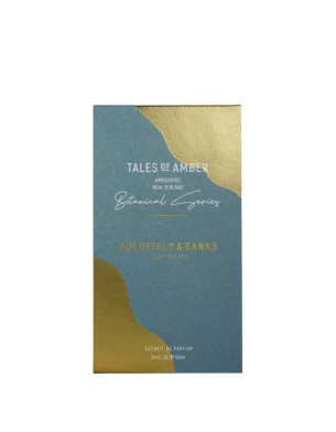 Tales of Amber Xdp